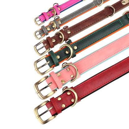 Customized Leather Dog Collar & Leash Set – Soft Padded Adjustable Collar for Small, Medium & Large Dogs with Engraved Nameplate