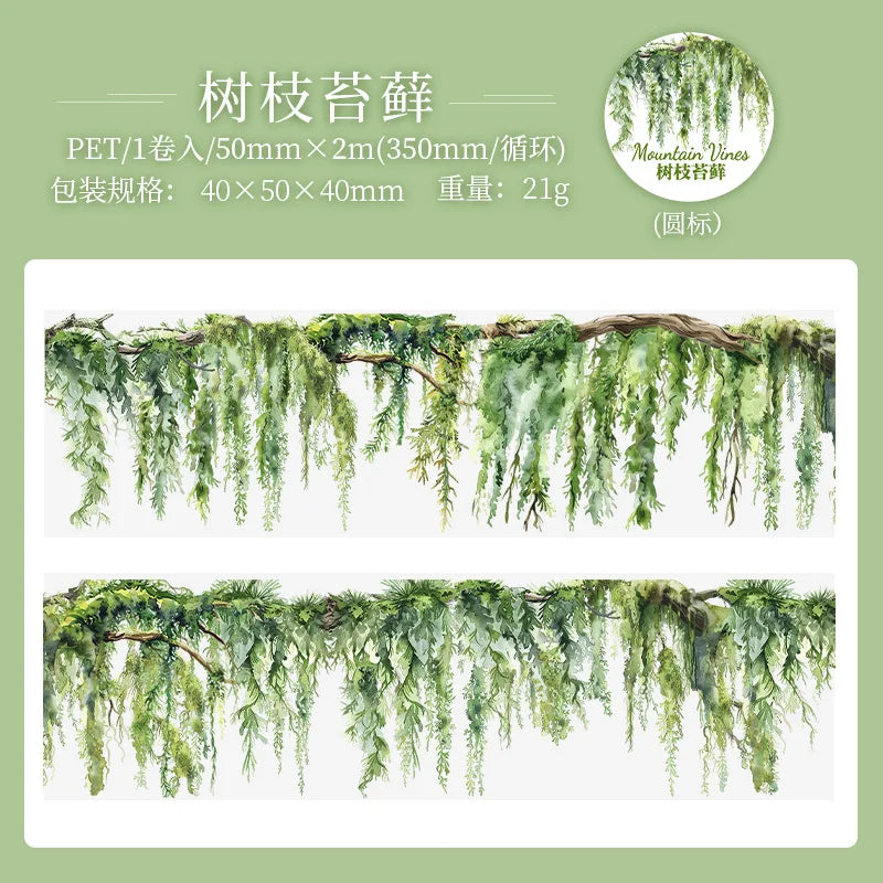 5x200cm INS Fresh Vine Theme PET Tape – Adhesive Stickers for DIY Scrapbooking, Diary, and Collage Crafts