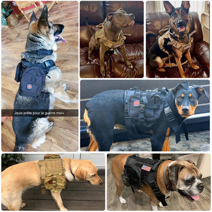 Tactical Dog Harness & Leash Set: Pet Training Vest for Small, Medium, and Large Dogs - Ideal for Walking and Hunting