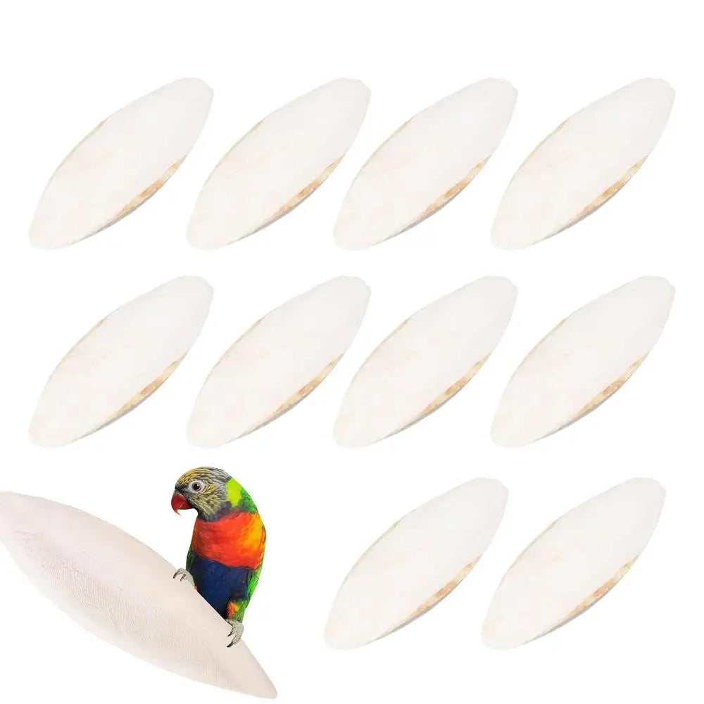 10-Pack Natural Bird Cuttlebone — Calcium Chew Toys for Parakeets, Tortoises, Snails & Cuttlefish (9–12cm)