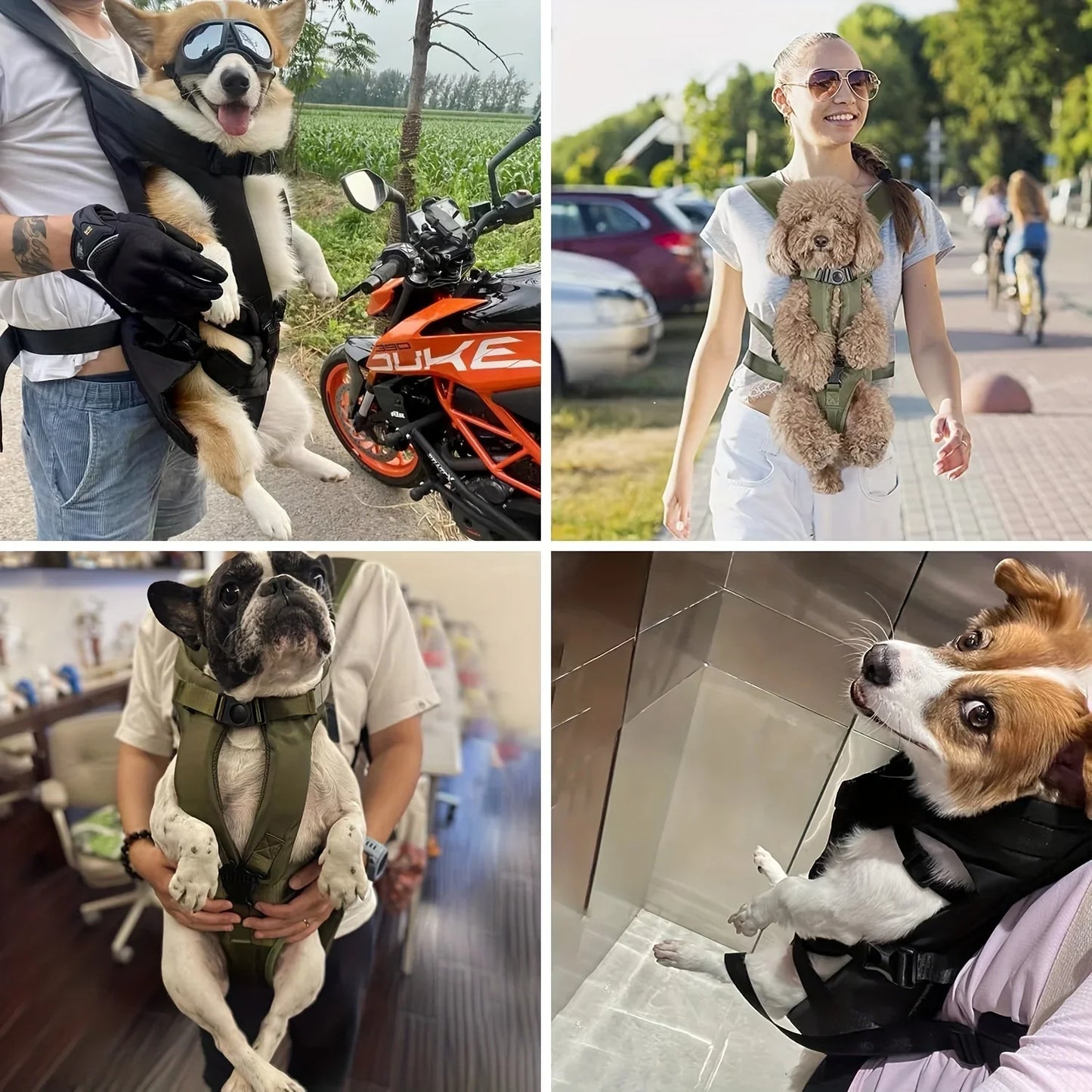 Adjustable Hands-Free Pet Front Dog Carrier Backpack - Ideal for Medium & Small Dogs - Convenient and Comfortable Pet Backpack