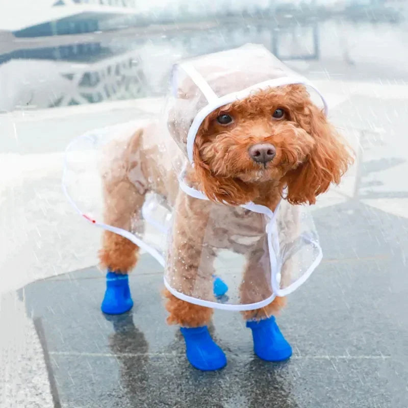 Clear Pet Raincoat: Waterproof Jacket Coat for Small Medium Dogs - Teddy, Shiba Dog Poncho for Outdoor Walking