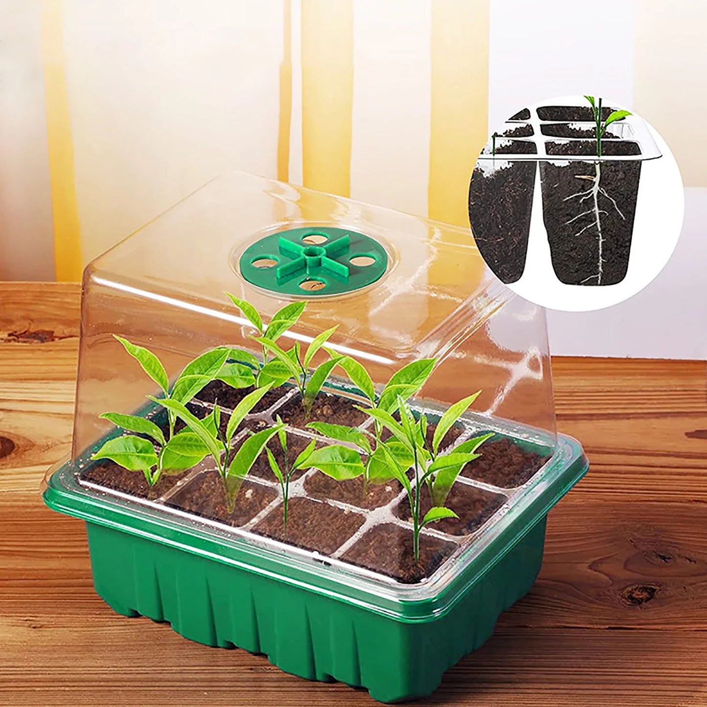 LED Grow Light with 6/12-Hole Seed Starter Trays — Indoor Plant Germination & Seedling Growing Box
