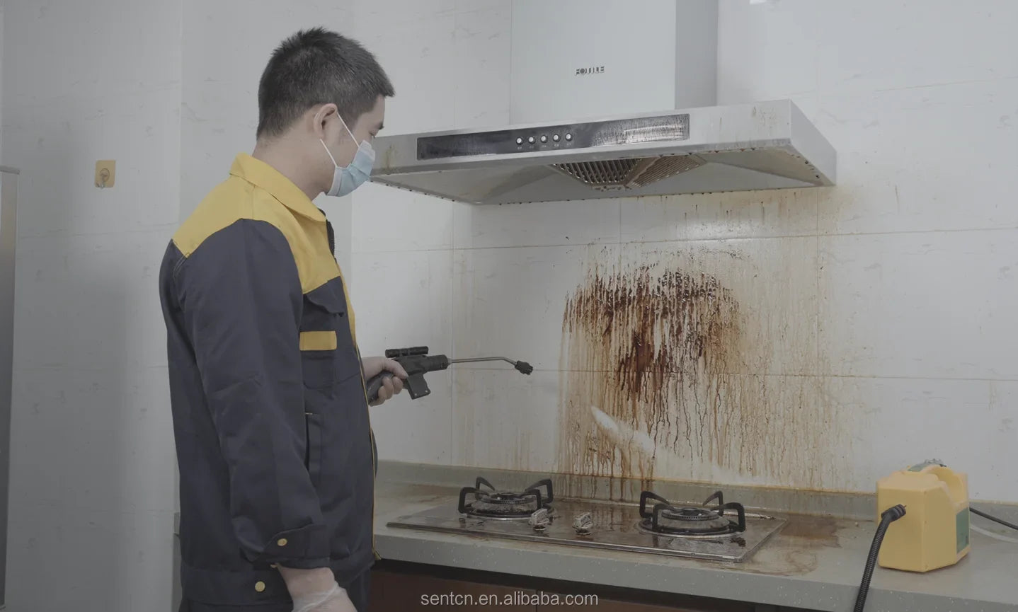 3000W Handheld Steam Cleaner – High-Pressure & High-Temperature Alkaline Disinfection for Kitchen, Car, and Air Conditioning