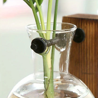 Hydroponic Glass Vase, Vintage Desktop Plant Terrarium Planter, Bulb Water Planting Propagation Vase for Hydroponics Plants