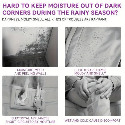 Reusable Moisture Absorber Bag – Closet & Wardrobe Deodorizer, Anti-Mold Humidity Control