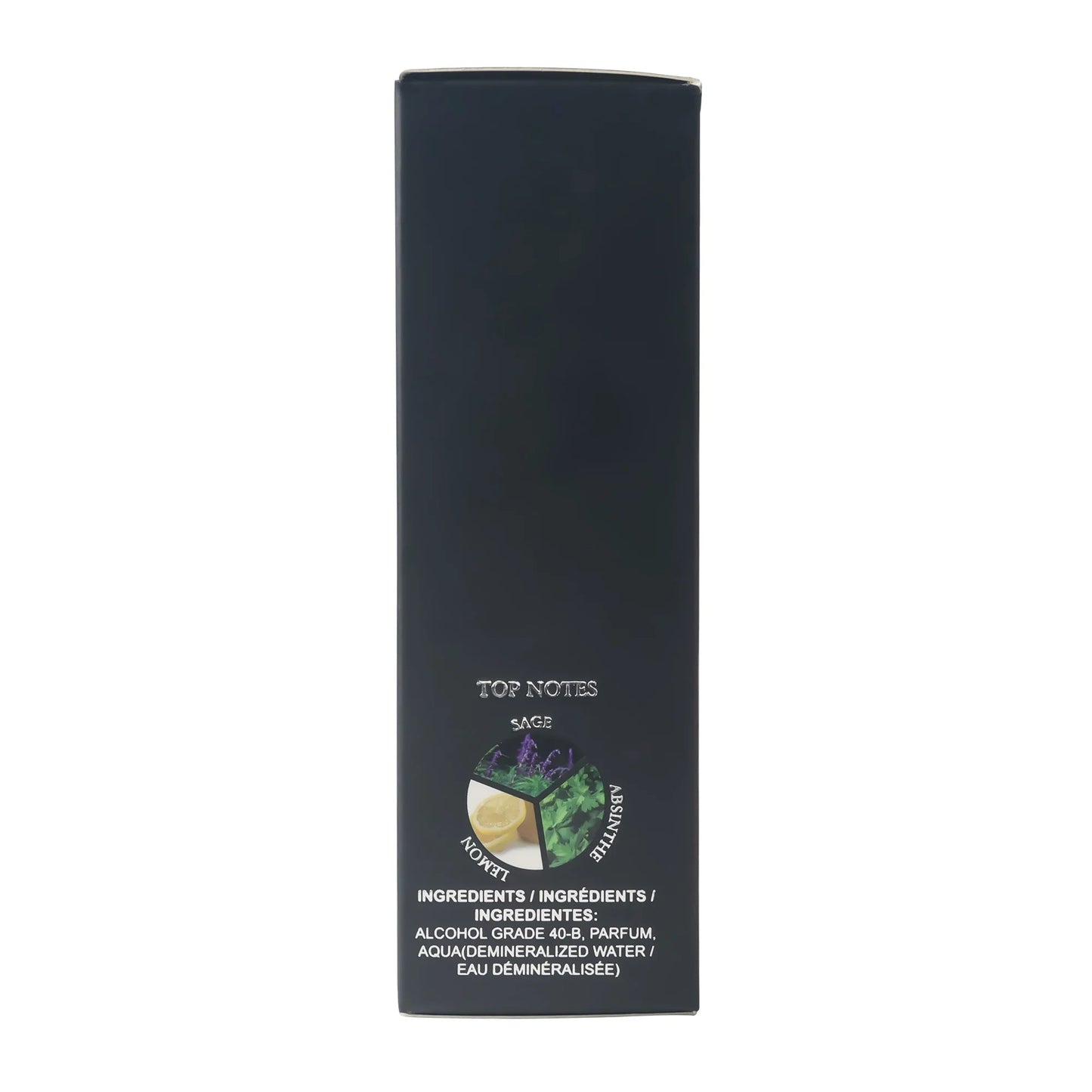 BLACK CHARM Eau de Parfum for Men – 3.4oz/100ml Woody Aromatic Fragrance, Fruit & Floral Notes