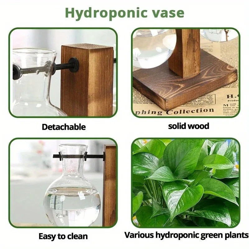 Hydroponic Glass Vase, Vintage Desktop Plant Terrarium Planter, Bulb Water Planting Propagation Vase for Hydroponics Plants