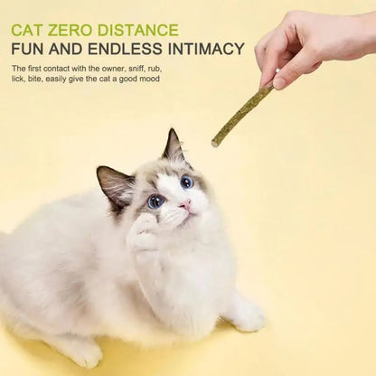 6-Pack Natural Silvervine Cat Chew Sticks - Exciting Matatabi Mint Flavor for Dental Health & Play, Pet Supplies