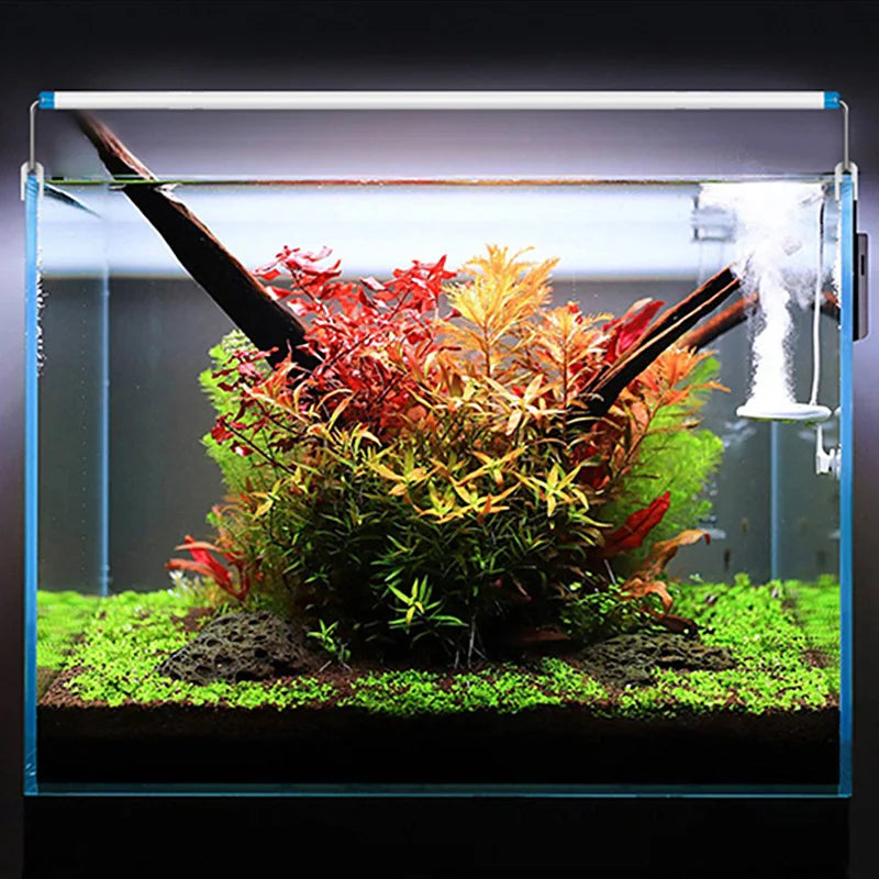 Super Slim Aquarium LED Light: Waterproof Bright Clip Lamp for Fish Tanks - Blue LED Grow Lighting for Aquatic Plants, 220v