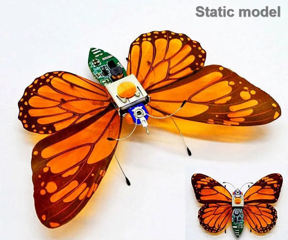 DIY Robotic Insect Kit - STEAM Science Electronic Animal Building Toy