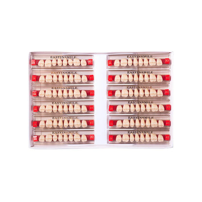 16/12 Set Dental Denture Teeth Model Kit, Upper & Lower Anterior Synthetic Polymer Teeth A2 A3 for Dental Education & Training
