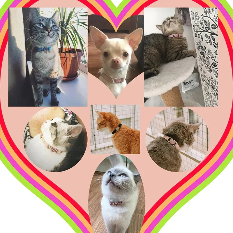 Heart Charm Cat Collar with Bell – Adjustable Safety Elastic Velvet Collar for Small Cats & Dogs, 8 Colors