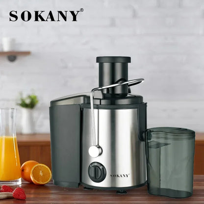 800W Juicer Machine – Big 3-Inch Mouth Fruit & Vegetable Juice Extractor, 2-Speed, Easy to Clean