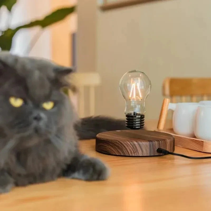 Magnetic Levitation Lamp – Floating LED Bulb Glass Light for Home Office Desk Decor & Birthday Gift
