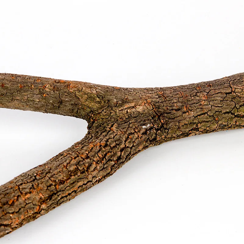 1 Piece Bird Cage Wooden Perches: 15/20/30cm Stand Tree Branch Accessories - Enhance Your Bird's Habitat