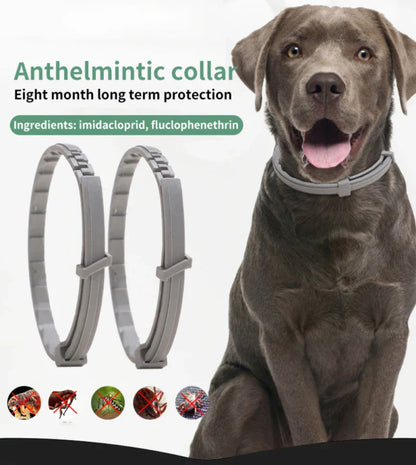Dog & Cat Anti-Flea and Tick Collar – 8-Month Protection – Adjustable Pet Collar for Puppies, Cats, and Large Dogs