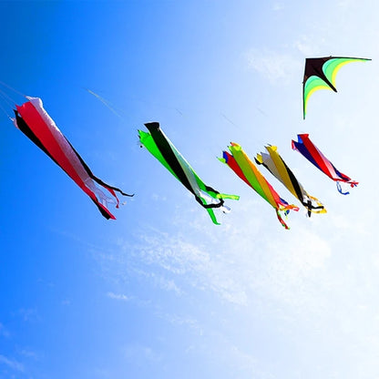 Large Decorative Show Kite - Professional Outdoor Wind Kite with Butterfly Snake Koi Design
