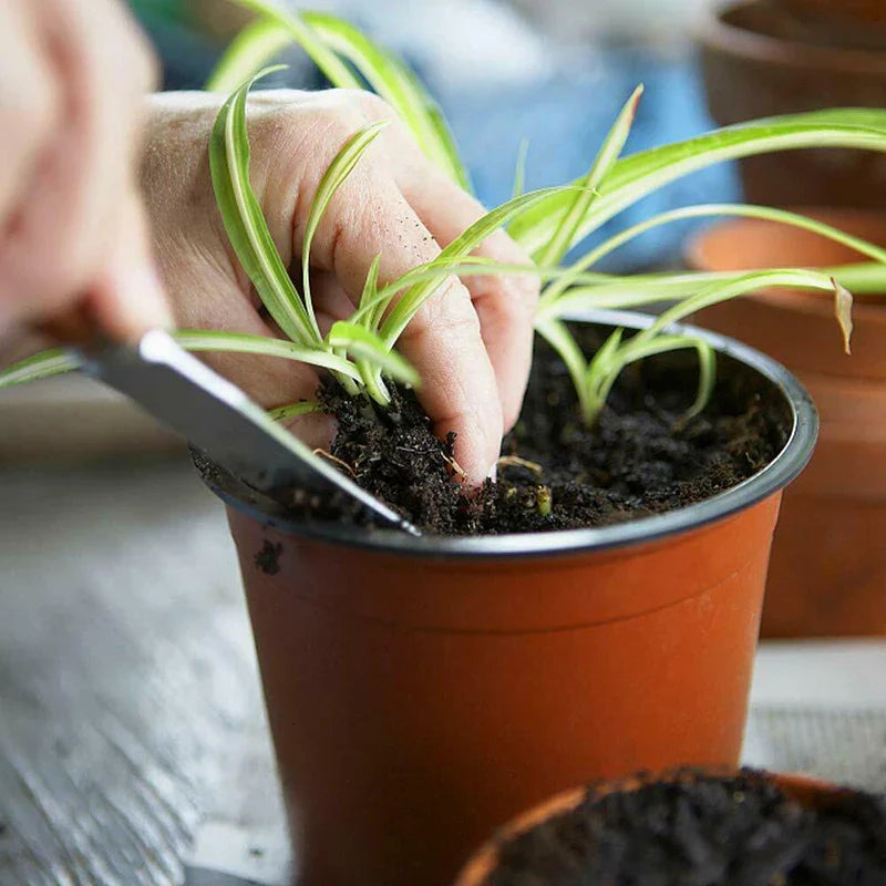 75Pcs Flexible Plant Nursery Pots | Plastic Flower Containers for Succulents, Seedlings, and Cuttings