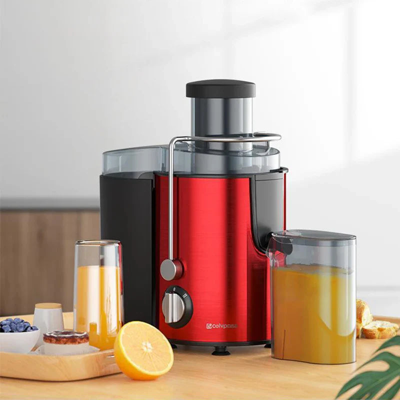 Stainless Steel Centrifugal Fruit Juicer – 800W Powerful Motor, Large Mouth for Fruits & Vegetables, Easy to Clean