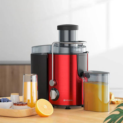Stainless Steel Centrifugal Fruit Juicer – 800W Powerful Motor, Large Mouth for Fruits & Vegetables, Easy to Clean