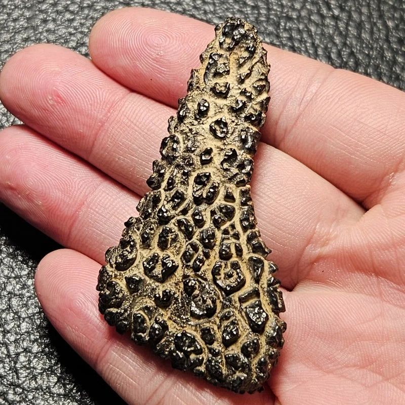 Natural Desert Stone - Decorative Gem for Feng Shui, Spiritual & Boho Home Decor