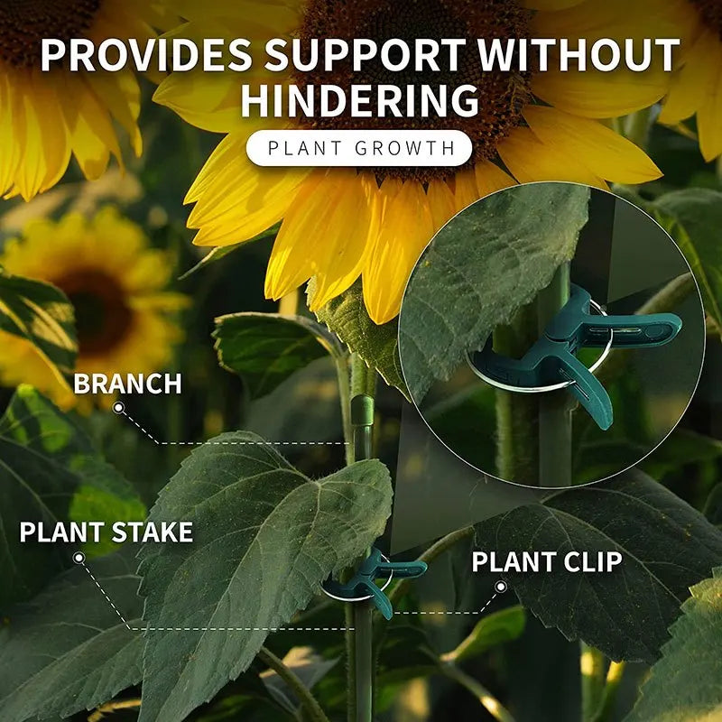 20pcs Reusable Plant Fixing Clips – Greenhouse Brackets for Vines, Flowers, Seedlings & Garden Stem Support