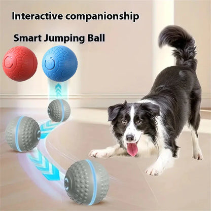 Smart Interactive Dog Toy Ball – USB Rechargeable Automatic Rolling & Bouncing Chew Toy for Puppies to Large Dogs
