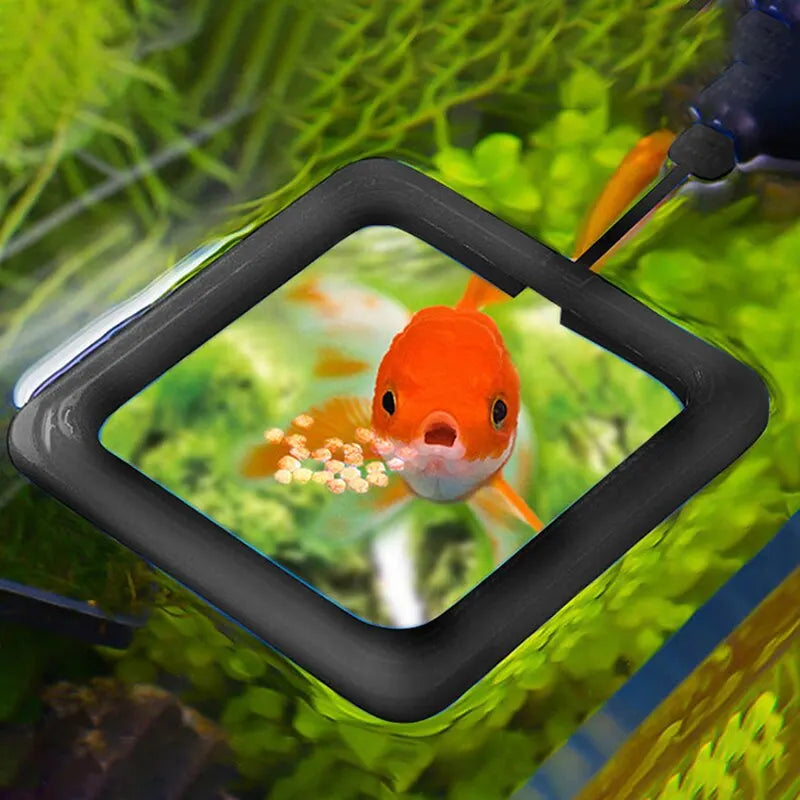 Aquarium Feeding Ring Fish Tank Floating Food Tray - Square Circle Feeder Accessory with Suction Cup - Black