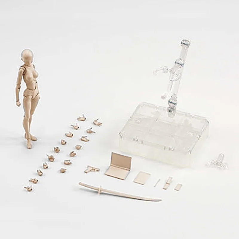 Sketch Drawing Figurines – Male & Female Movable Body Kun/Body Chan Anime Action Figure Mannequin