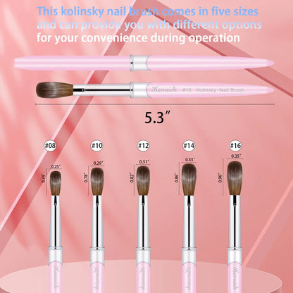 High-Quality Kolinsky Acrylic Nail Brush with Wood Handle - Size 8-16 for Gel Builder Manicure & Nail Art Drawing - 100% Kolinsky