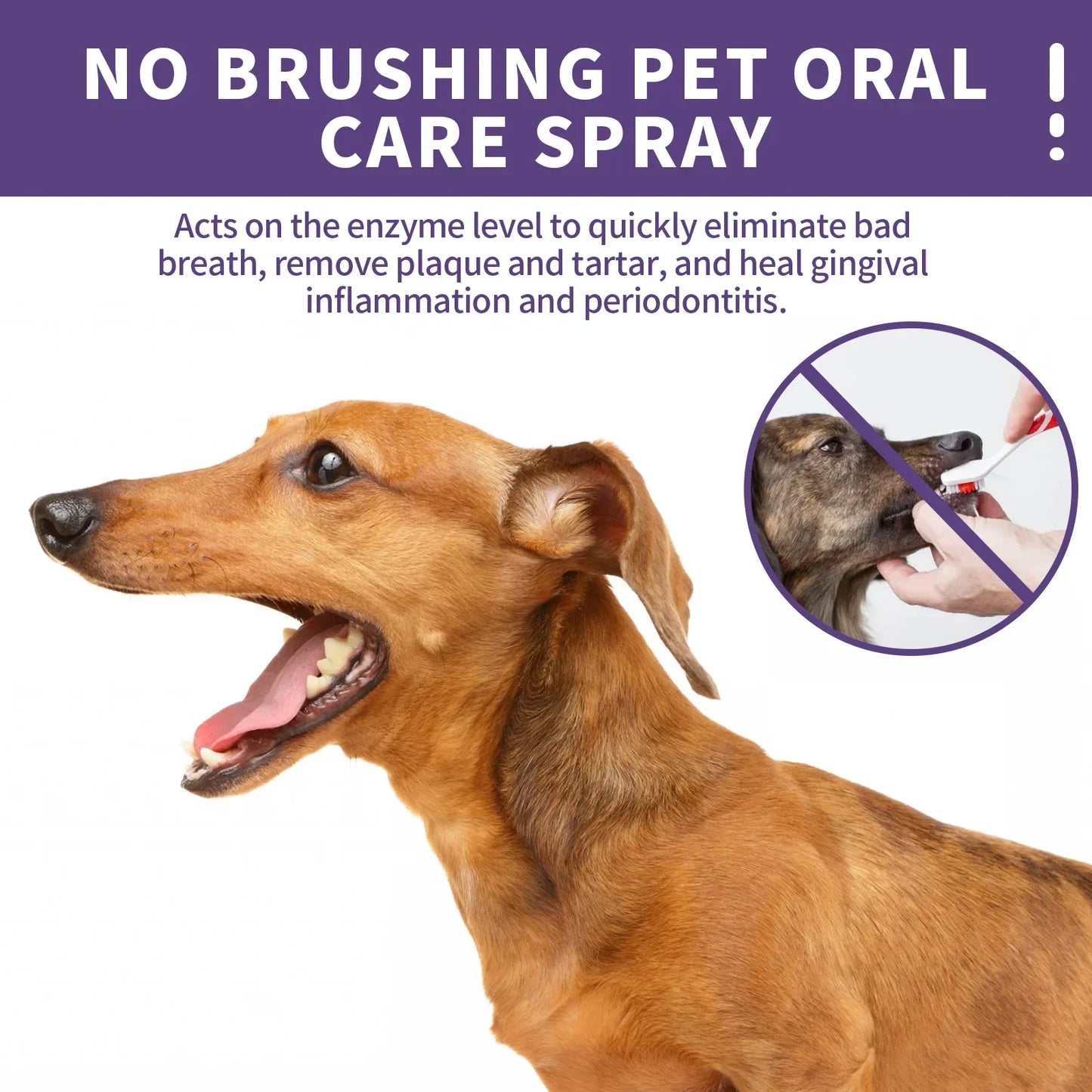 50ml Pet Oral Cleanse Spray - Freshen Dog and Cat Breath, Prevent Calculus, Remove Bad Breath, and Teeth Cleanser