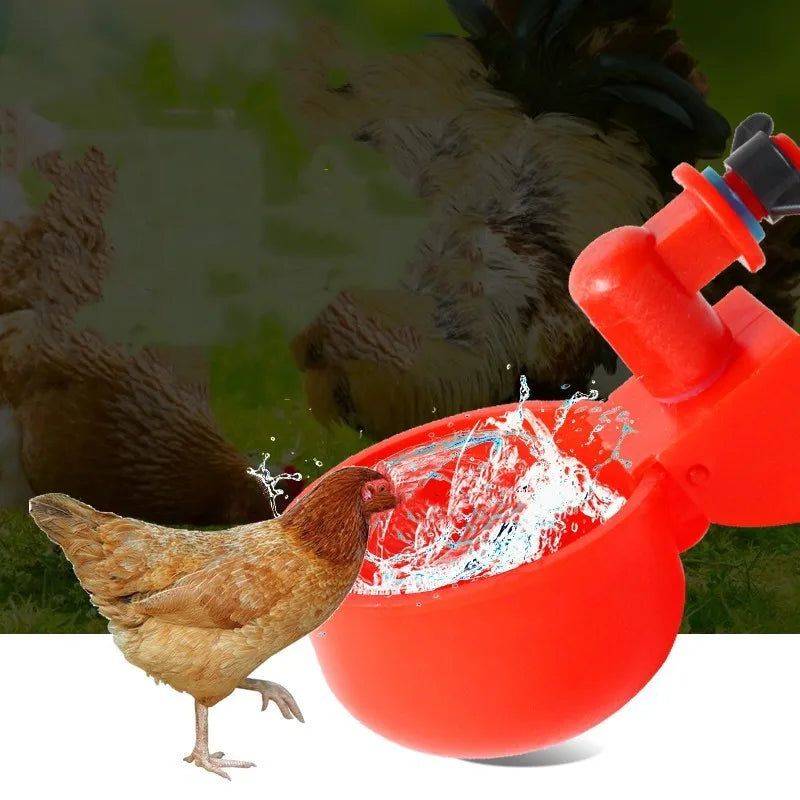 Automatic Chicken Drinking Cup Feeder | Plastic Poultry Waterer for Chicks, Duck, Goose, Quail