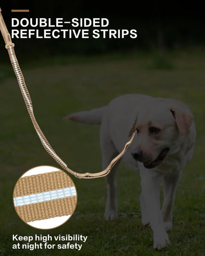 Reflective Shock Absorbing Bungee Dog Leash with Car Seatbelt – Heavy Duty No-Pull Leash for Large Dogs