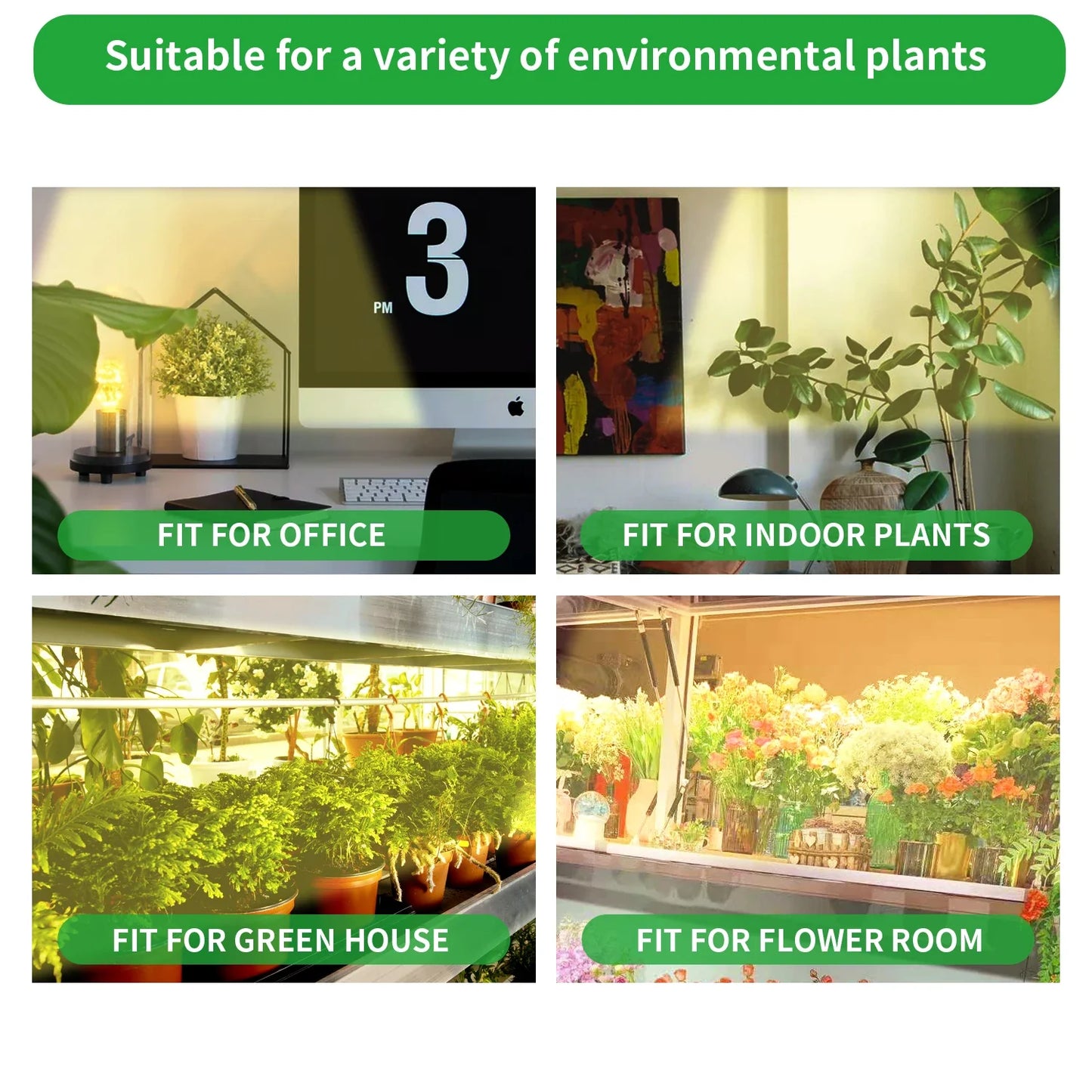 USB LED Plant Grow Light — Indoor Garden Full Spectrum Lamp with 10 Dimmable Levels, Timer Settings 3H/9H/12H for Hydroponic & Greenhouse Plants