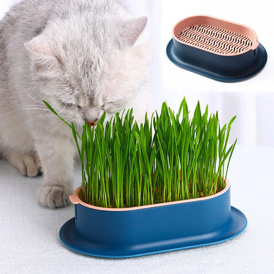 Hydroponic Pet Cat Sprout Dish: Greenhouse Grow Box for Cat Grass Germination - Digestion Starter Pot, Reusable and Eco-Friendly