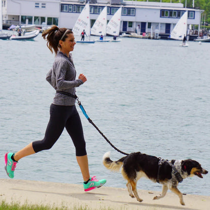 Hands-Free Dog Leash: Adjustable Waist Belt Chest Strap Traction Rope for Pet Walking, Running, Jogging - Dog Accessories