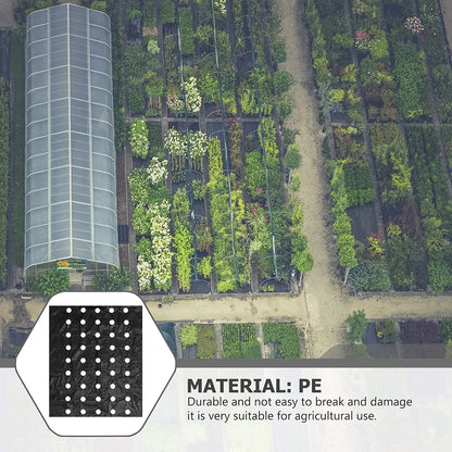 Black Plastic Mulch Film — High-Quality Vegetable Growing Film for Greenhouses & Plant Protection