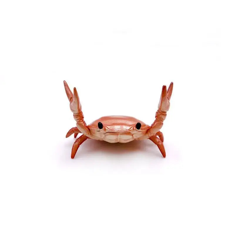 Funny Crab Desktop Pen Holder – Creative Stationery Organizer
