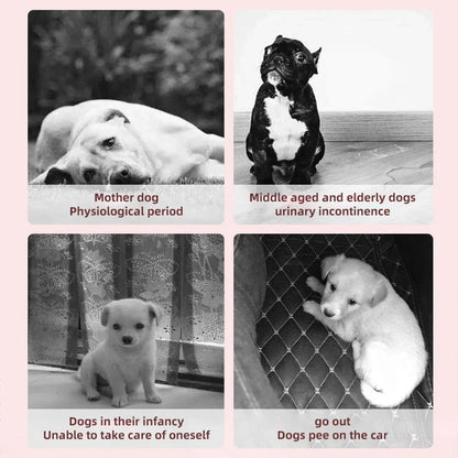 HOOPET Disposable Pet Diapers - 10-Piece Breathable Leakproof Pants for Dogs and Cats