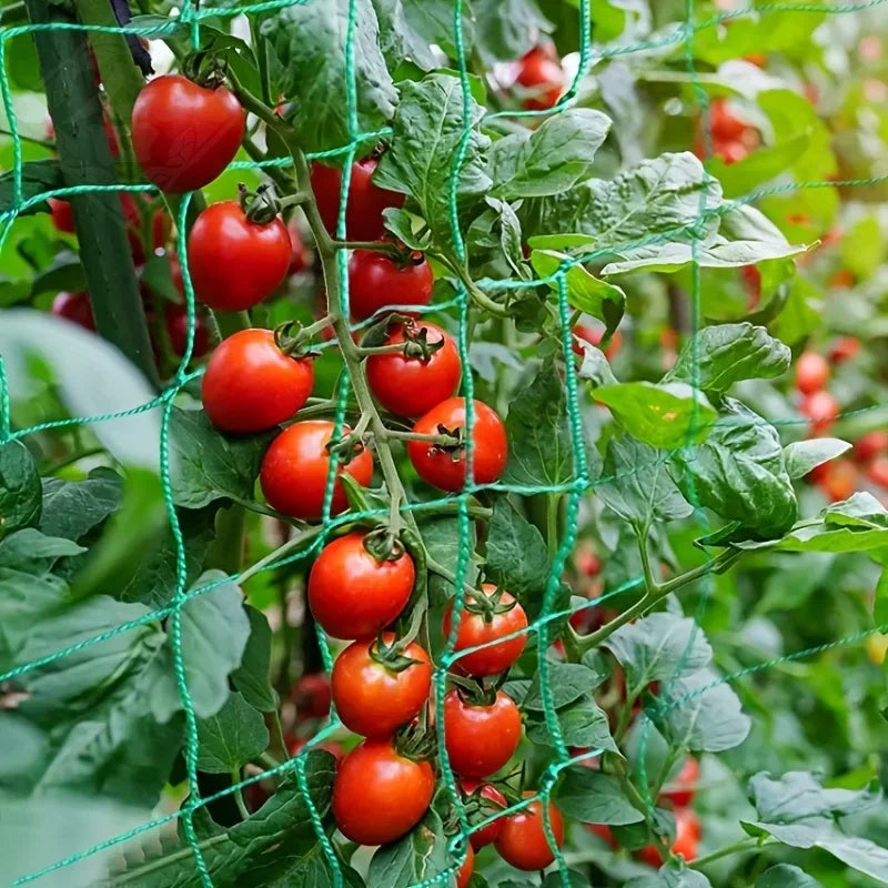 Heavy-Duty Garden Plant Trellis Netting – Square Mesh Polyester Grow Net for Climbing Plants, Vegetables & Vines