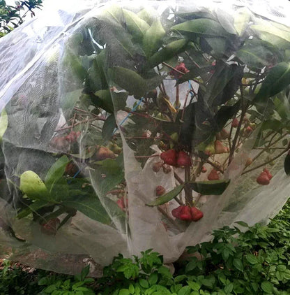 Garden Plant Insect Netting – 60 Mesh Pest Control Cover for Vegetables, Flowers, and Fruits, Bird-Proof Protective Netting