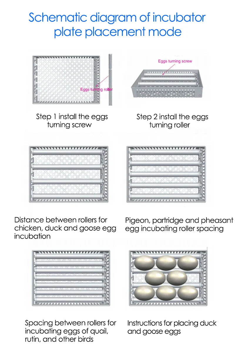 24-Egg Automatic Incubator — Touch Control Hatchery Machine for Chicken, Duck, Quail & Bird Eggs