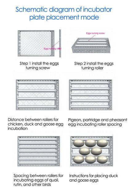 24-Egg Automatic Incubator — Touch Control Hatchery Machine for Chicken, Duck, Quail & Bird Eggs