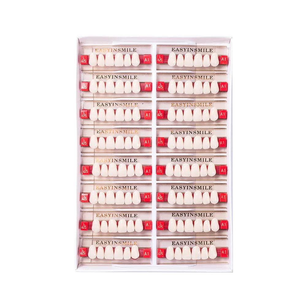16/12 Set Dental Denture Teeth Model Kit, Upper & Lower Anterior Synthetic Polymer Teeth A2 A3 for Dental Education & Training
