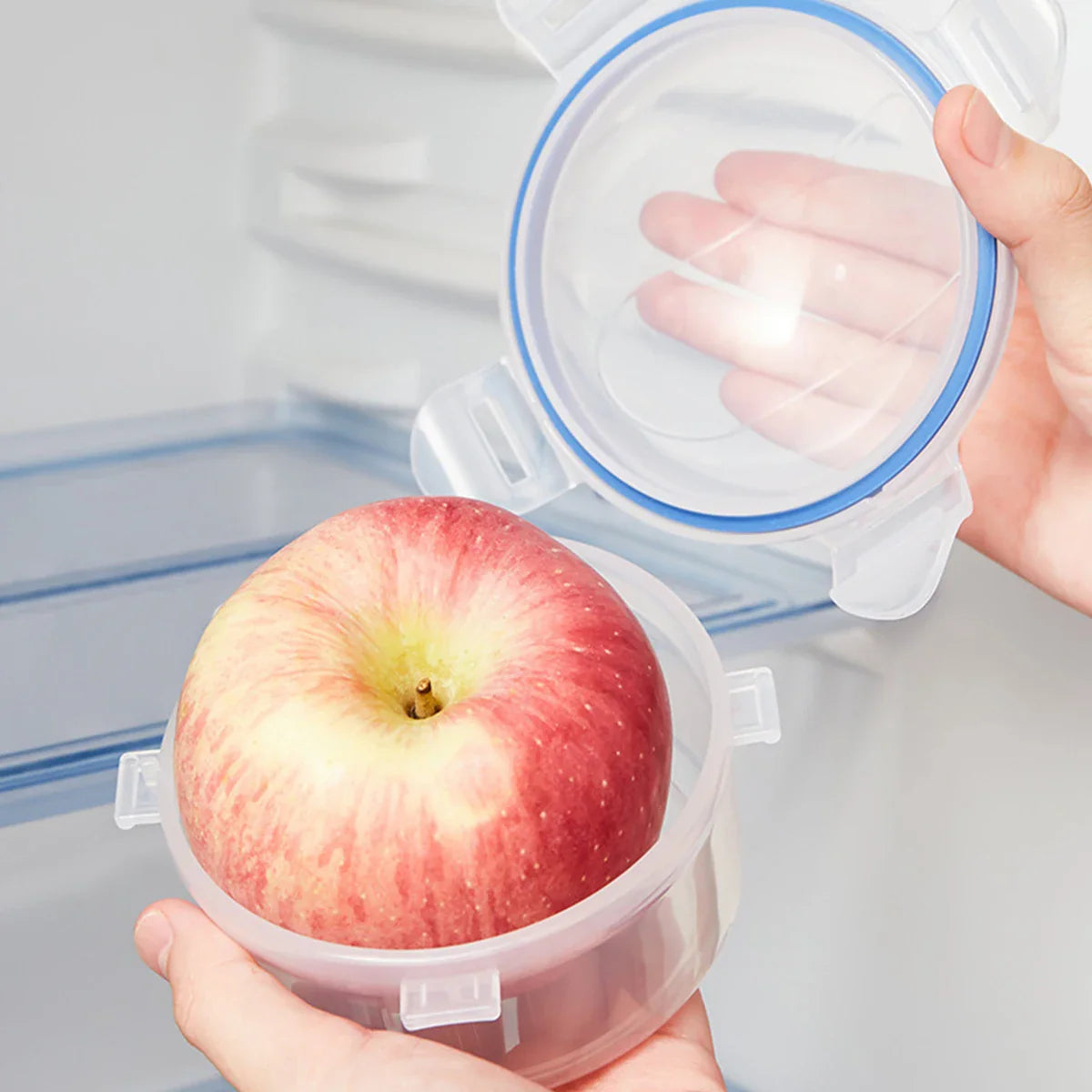 Fruit & Apple Preservation Box with Lid - Sealed Household Storage for Onion, Microwave Rice Heating Box