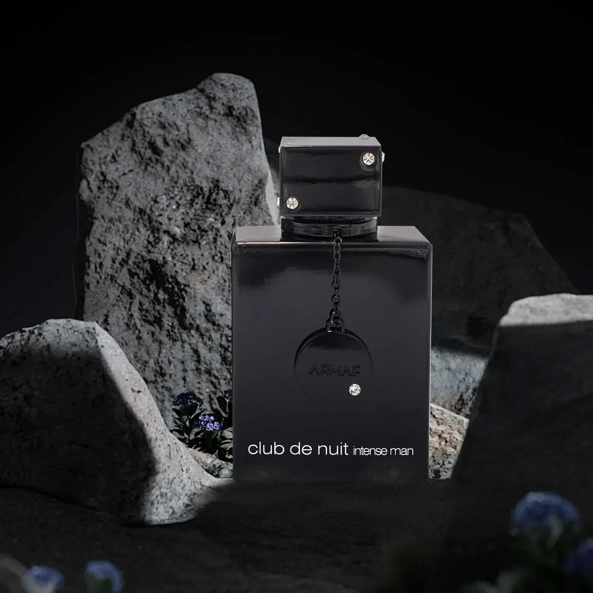 105ml Wild Black Edition Men’s Perfume — Luxury Nightclub Cologne Fragrance Spray, 100ml Brand Scent