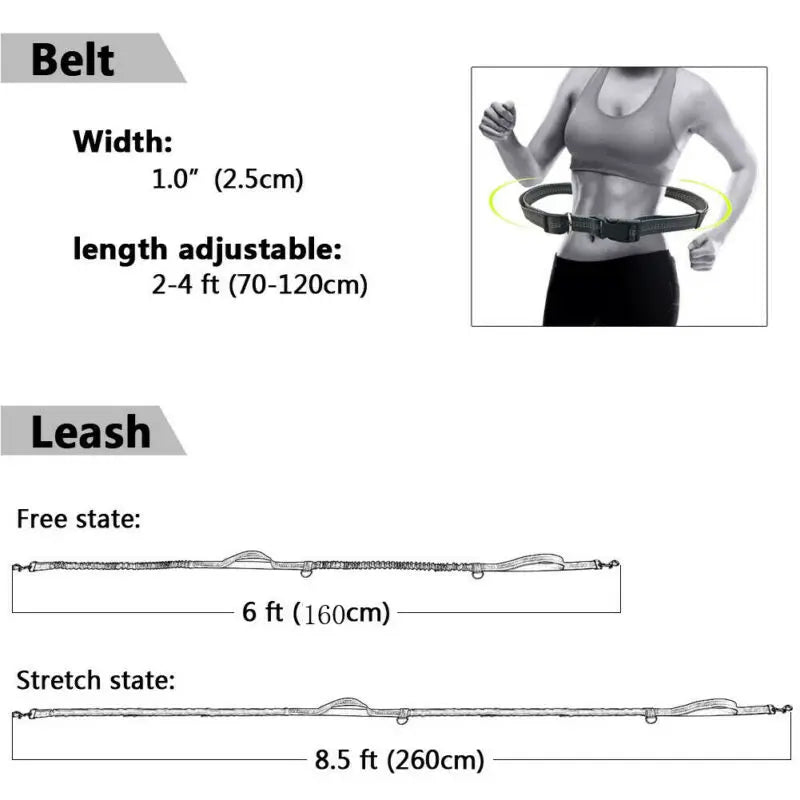 Reflective Pet Dog Running Belt: Elastic Hands-Free Jogging Leash with Metal D-Ring Harness - Traction Rope for Freely Jogging Pull