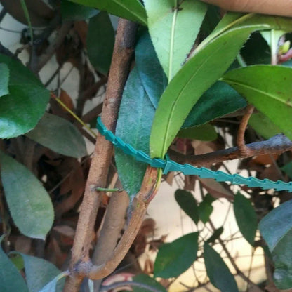 50pcs Adjustable Plastic Plant Cable Ties - Reusable Garden Tree Climbing Support for Plant Vine and Tomato Stem - Plant Cable Clips