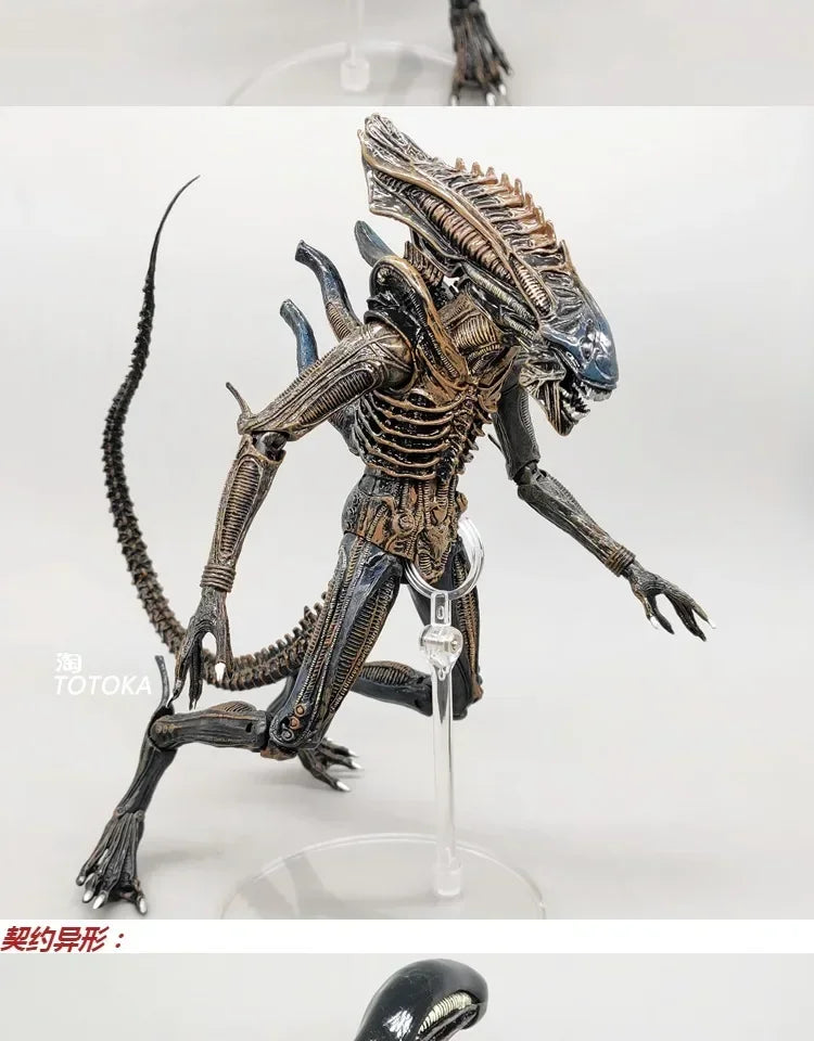 NECA Xenomorph Alien vs. Predator Action Figure — Fully Articulated Collectible with Movable Joints, Cool Toy & Gift